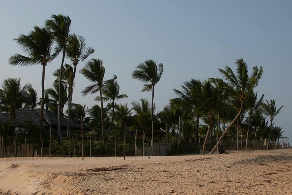 Les Bienfaits Inattendus des Spas en Croisière : Une Évasion Bien-Être au-Delà de la Détente