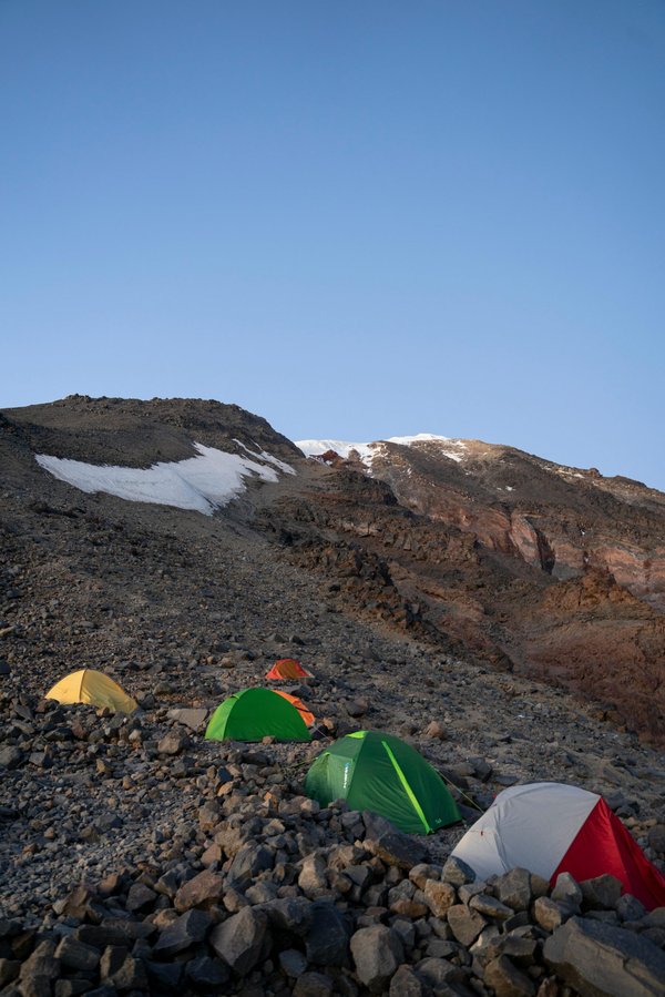 Escape nature : les campings enchantés de l'île d'oléron